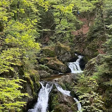 3 étoiles à Gérardmer. Chalet *