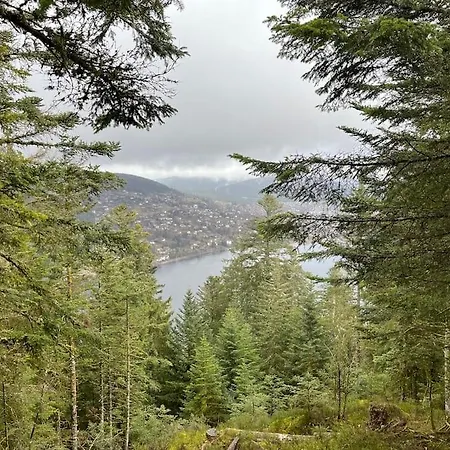 Chalet 3 étoiles à Gérardmer. *