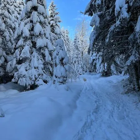 3 étoiles à Gérardmer. *
