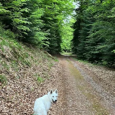 3 étoiles à Gérardmer. *