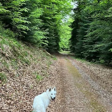 3 Etoiles A Gerardmer. *