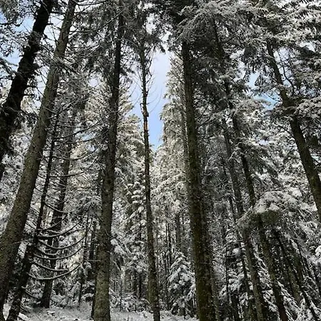 3 Etoiles A Gerardmer.