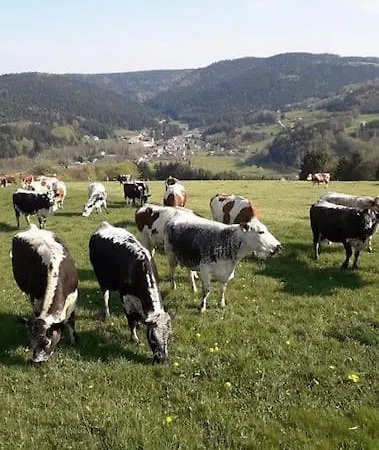 3 Etoiles A Gerardmer. シャレー *