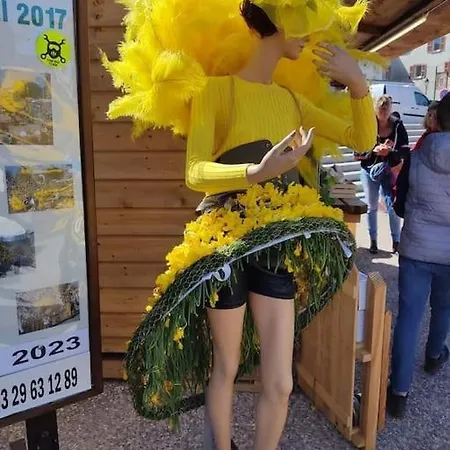 3 étoiles à Gérardmer. Gérardmer