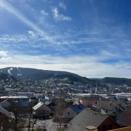 3 Etoiles A Gerardmer. シャレー