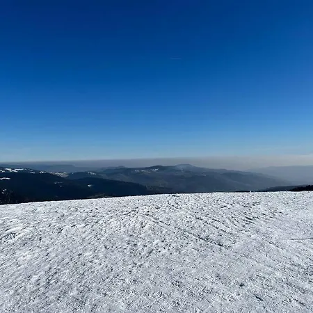 シャレー 3 Etoiles A Gerardmer.