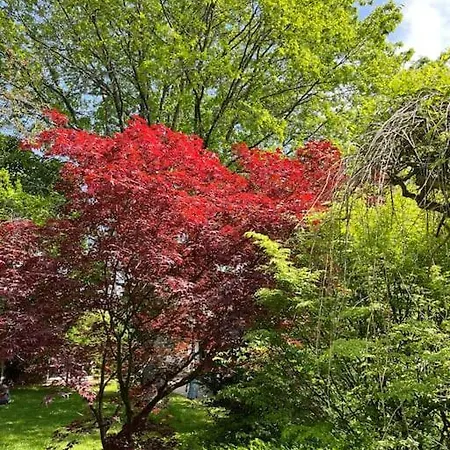 3 étoiles à Gérardmer. Gérardmer