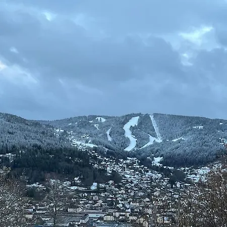 シャレー 3 Etoiles A Gerardmer.
