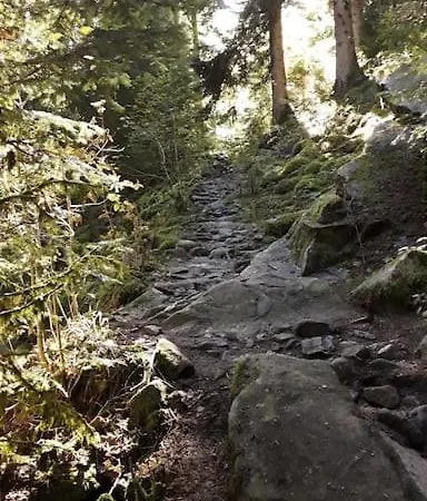3 Etoiles A Gerardmer. シャレー ジェラールメ