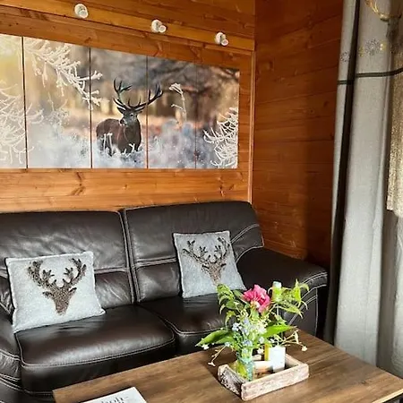 Chalet 3 Etoiles A Gerardmer. Gerardmer
