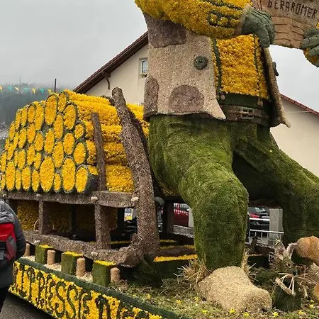 3 étoiles à Gérardmer. Gérardmer