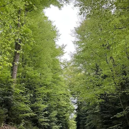 3 Etoiles A Gerardmer.