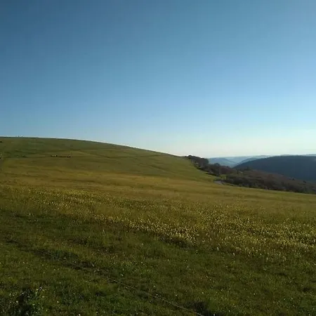 3 Etoiles A Gerardmer. シャレー *