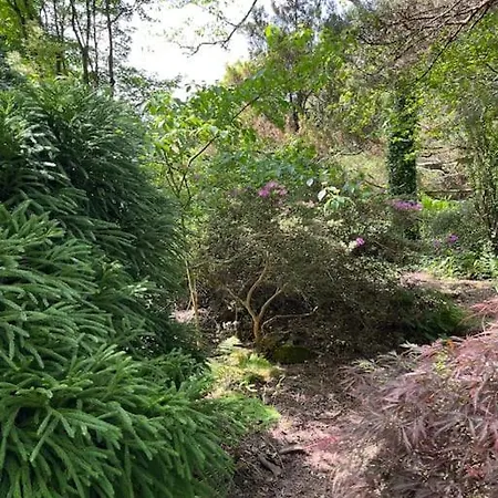 Chalet 3 étoiles à Gérardmer. Gérardmer