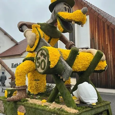 3 Etoiles A Gerardmer. ジェラールメ