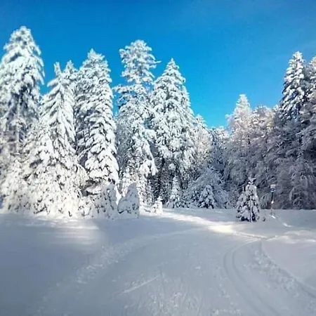 3 étoiles à Gérardmer.