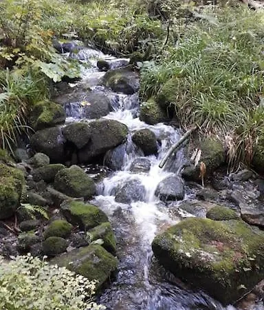 3 étoiles à Gérardmer. Chalet