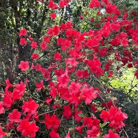 Chalet 3 étoiles à Gérardmer.