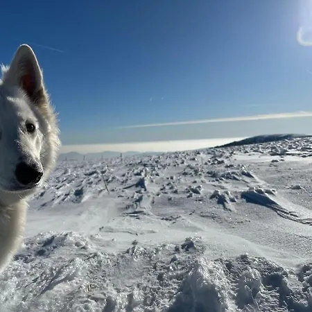 3 étoiles à Gérardmer. Chalet *