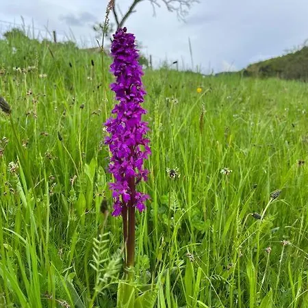 Chalet 3 étoiles à Gérardmer. *