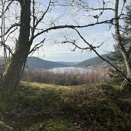 シャレー 3 Etoiles A Gerardmer. ジェラールメ