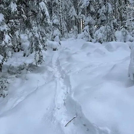 3 étoiles à Gérardmer. *