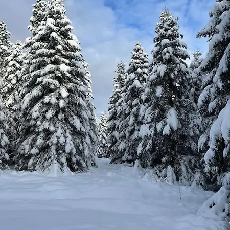 3 Etoiles A Gerardmer. Chalet