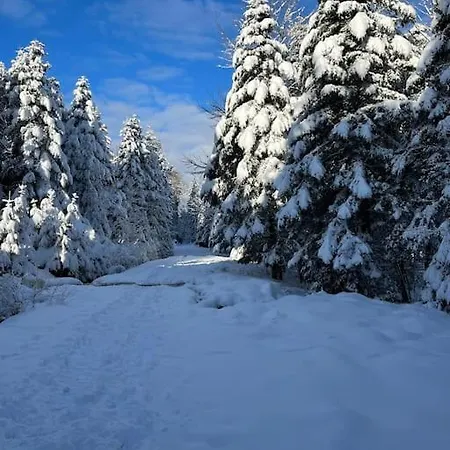 3 étoiles à Gérardmer. * Gérardmer