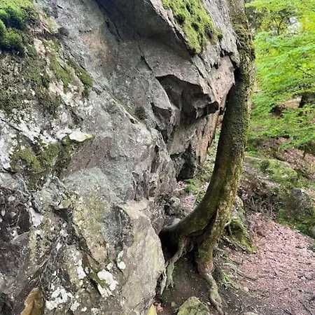 3 Etoiles A Gerardmer. シャレー ジェラールメ