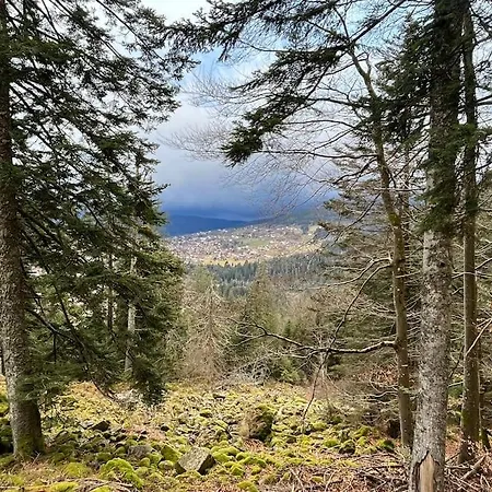 3 Etoiles A Gerardmer. シャレー ジェラールメ