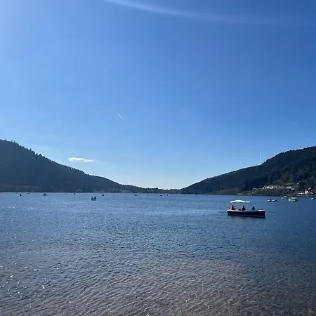 3 Etoiles A Gerardmer. ジェラールメ