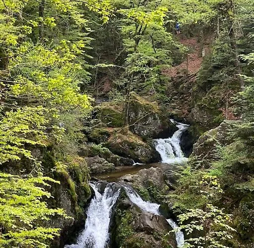 3 Etoiles A Gerardmer. 샬레 *