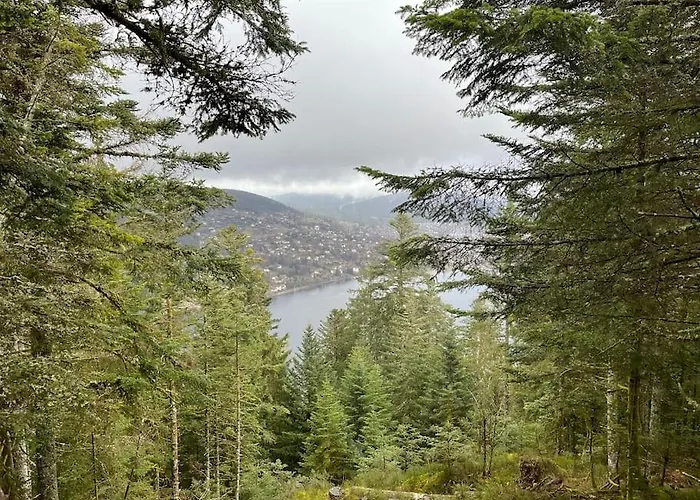 샬레 3 Etoiles A Gerardmer. *