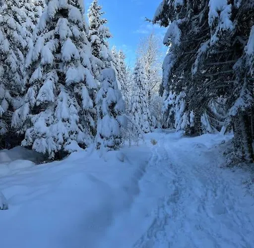 3 Etoiles A Gerardmer. *