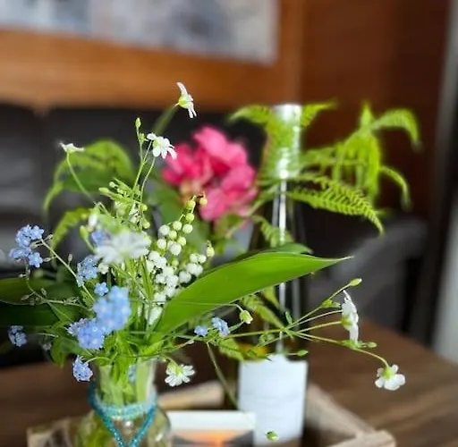 3 Etoiles A Gerardmer. * 제라르메르