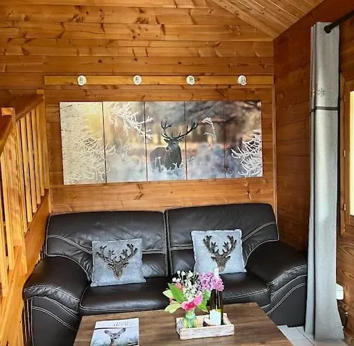 3 Etoiles A Gerardmer. 샬레 제라르메르