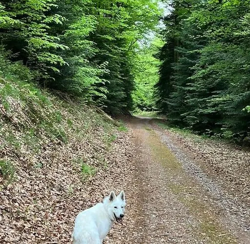 3 Etoiles A Gerardmer. *