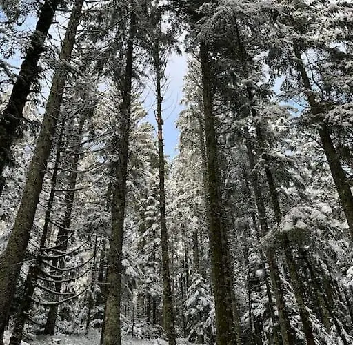 3 Etoiles A Gerardmer.