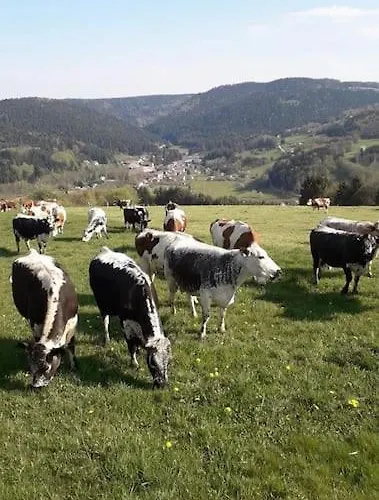 3 Etoiles A Gerardmer. 샬레 *