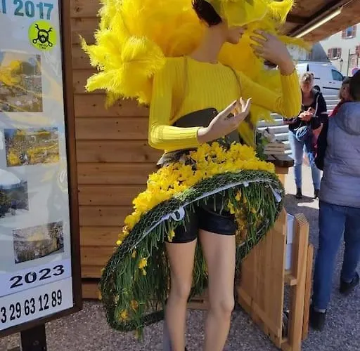 3 Etoiles A Gerardmer. 제라르메르