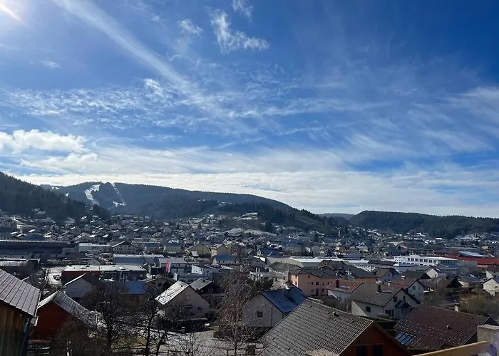 3 Etoiles A Gerardmer. 샬레