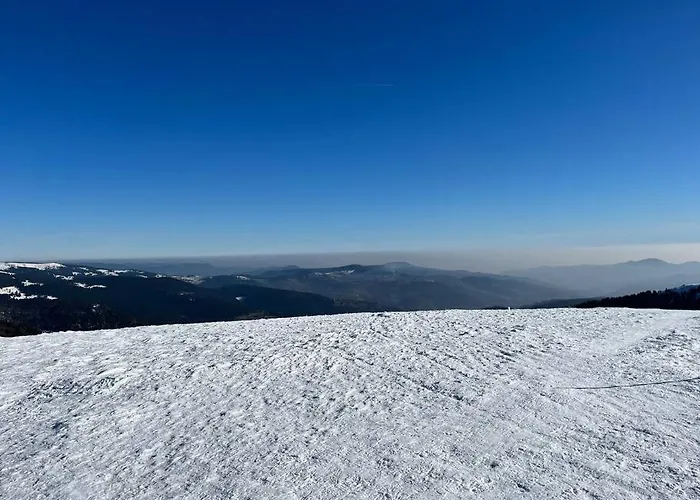 샬레 3 Etoiles A Gerardmer.