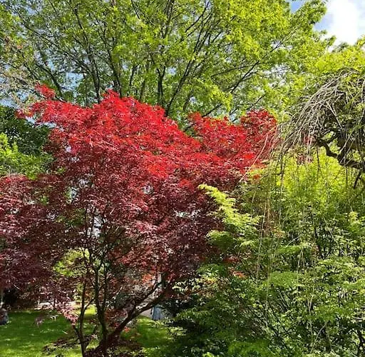 3 Etoiles A Gerardmer. 제라르메르