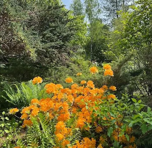 3 Etoiles A Gerardmer. 샬레