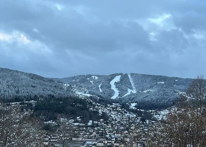 샬레 3 Etoiles A Gerardmer.