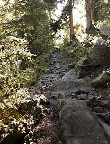 3 Etoiles A Gerardmer. 샬레 제라르메르