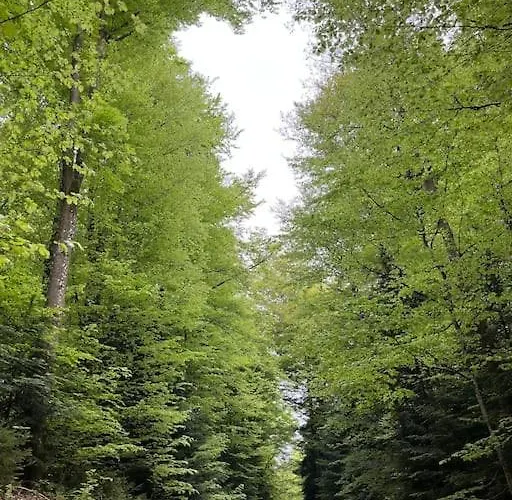 3 Etoiles A Gerardmer.