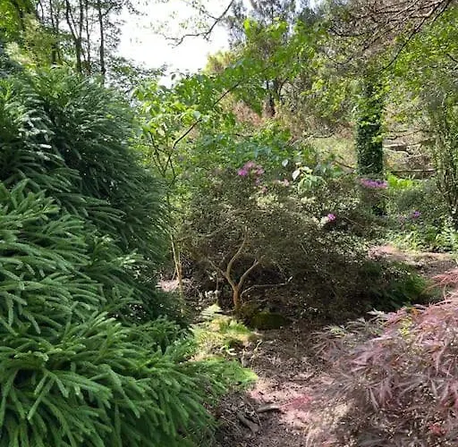 샬레 3 Etoiles A Gerardmer. 제라르메르