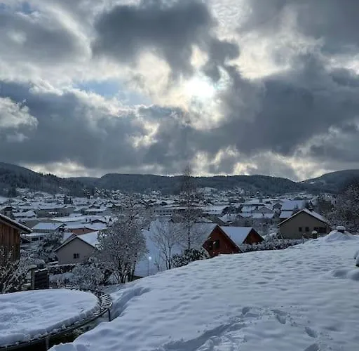 3 Etoiles A Gerardmer. * 제라르메르