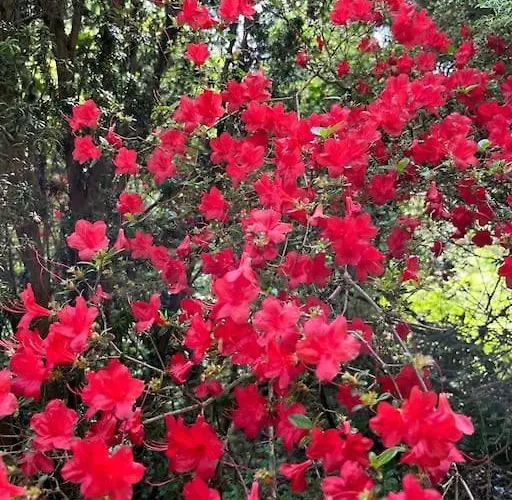 샬레 3 Etoiles A Gerardmer.